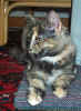 020722_tiril_11.jpg (71888 Byte)