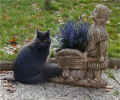 Bild5.jpg (44445 Byte)