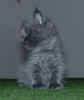 DSC03323.jpg (10402 Byte)