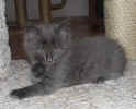 DSC03438.jpg (11871 Byte)
