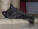 DSC03868.jpg (13255 Byte)