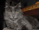 DSC05507.jpg (46649 Byte)