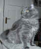 DSC05605.jpg (15772 Byte)