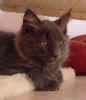 Dsc03956.jpg (13877 Byte)