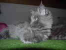 Dsc04013.jpg (61504 Byte)
