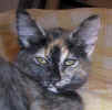Tiril020623_2.jpeg (16294 Byte)