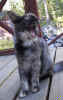 Tiril020804_12.jpg (25041 Byte)