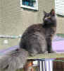 me070802-3.jpg (50809 Byte)