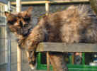 runtergeladene 101002 001.jpg (113473 Byte)